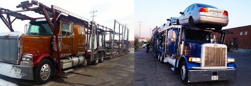 Reputable Company for Shipping in Canada