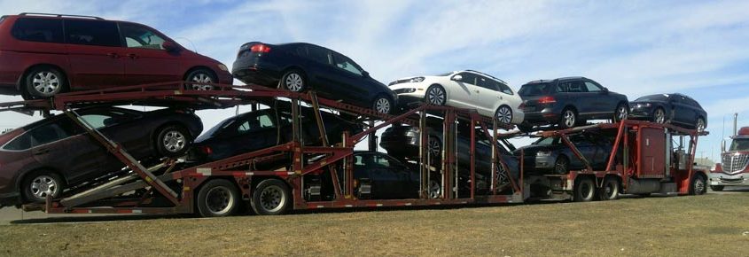 How to Search for Canada Car Shipping Service Online the Right Way